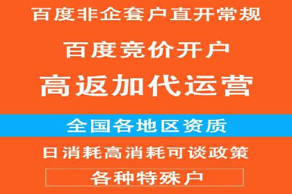 谷歌SEM与移动端优化：某APP的推广策略及效果